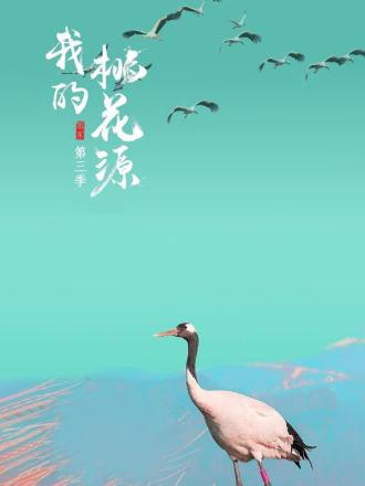 海报背景